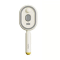 Portable Electric Hair Care Spray Massage Comb Anti-Static Self-Cleaning Hairbrush Spray Airbag Combs Women Girls