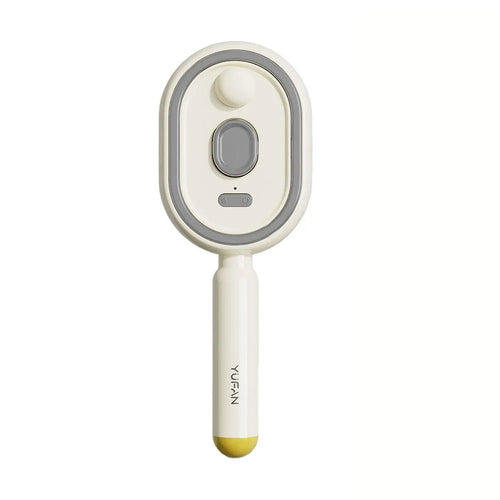 Portable Electric Hair Care Spray Massage Comb Anti-Static Self-Cleaning Hairbrush Spray Airbag Combs Women Girls